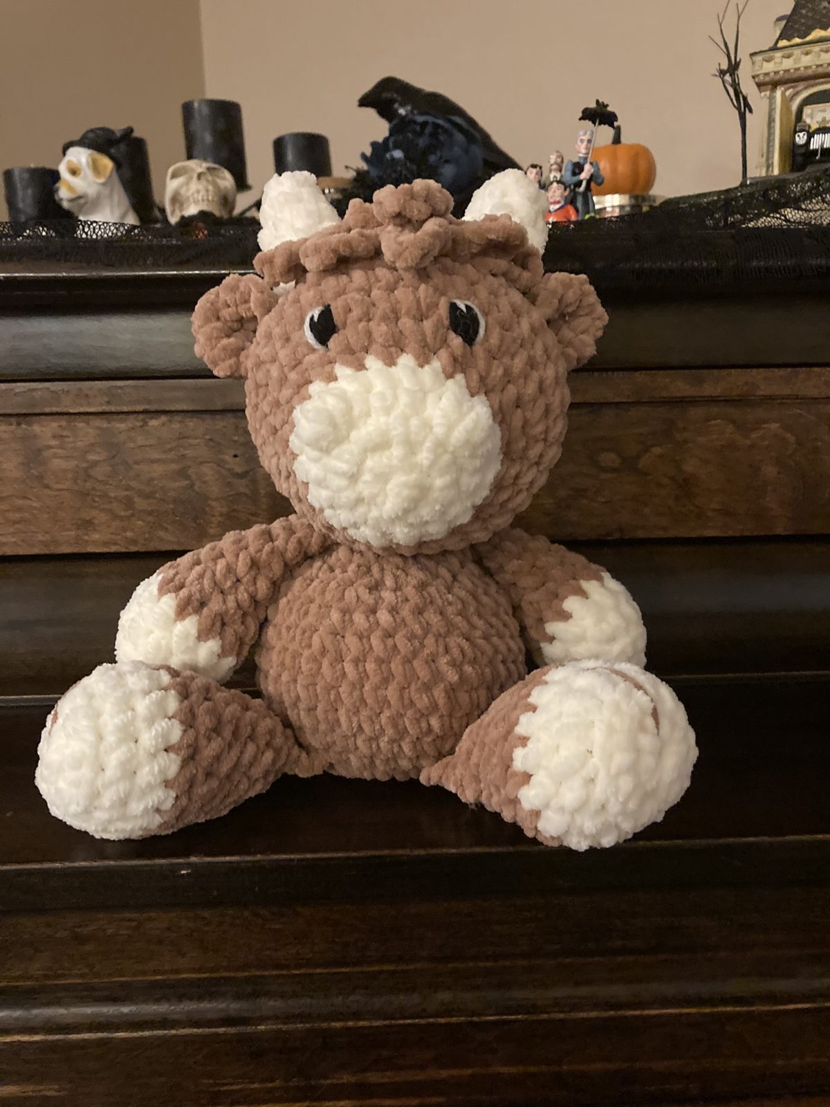 Highland Cow