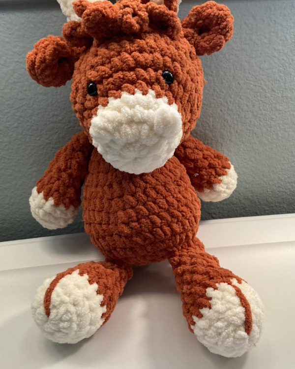 Highland Cow