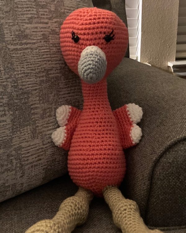 Flamingo